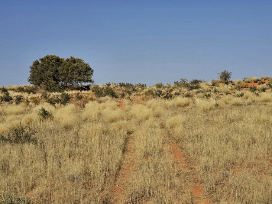 Commercial Property for Sale in Kenhardt Northern Cape